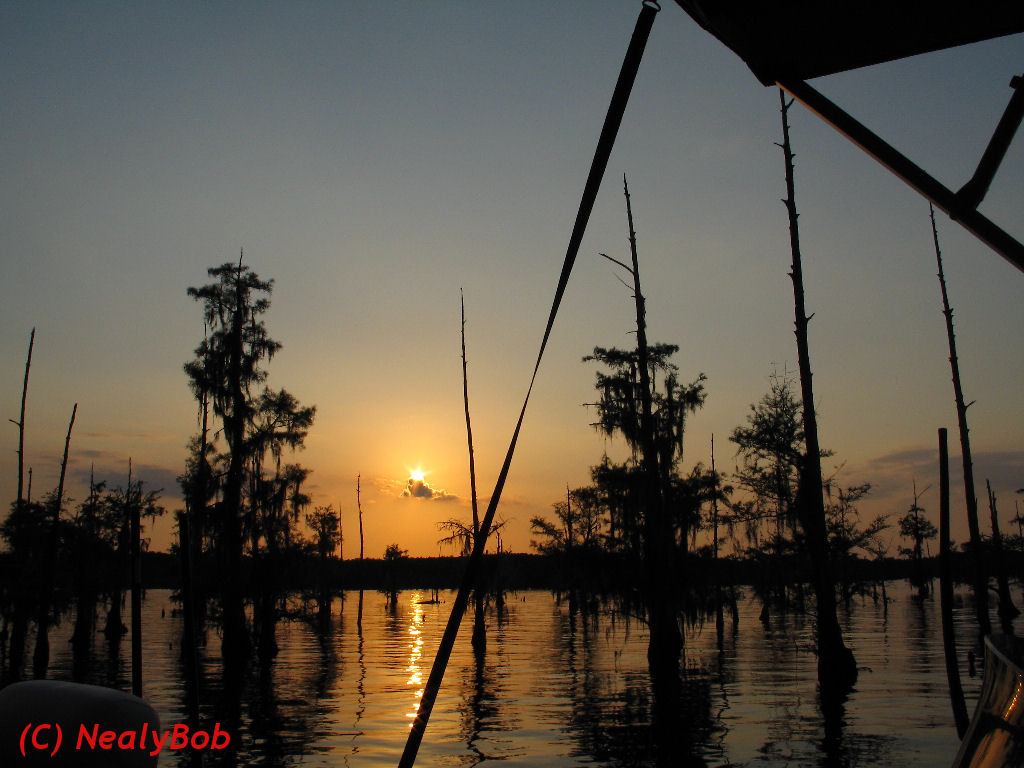Lake Bistineau Sunset