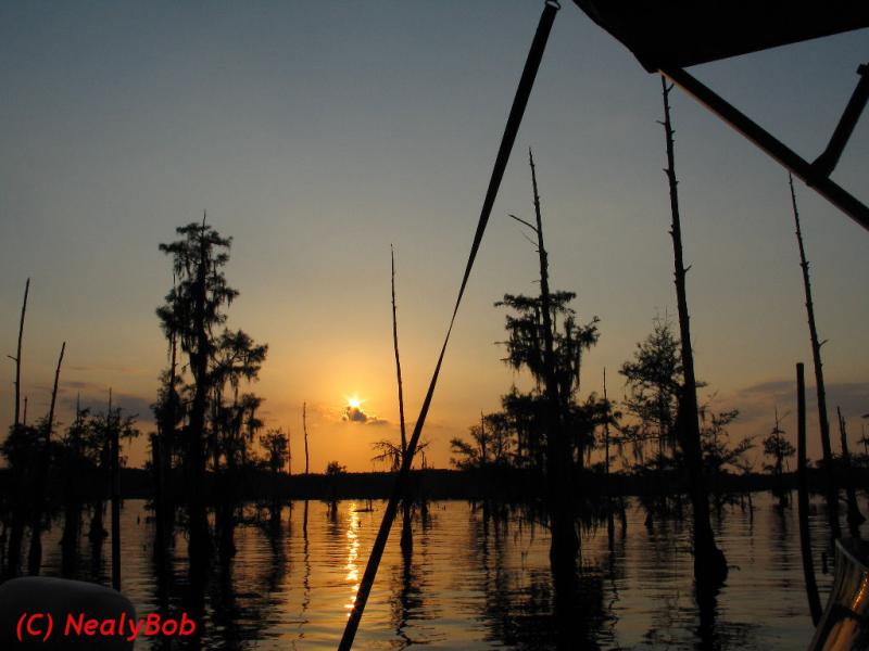 Lake Bistineau Sunset