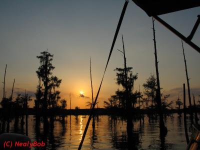 Lake Bistineau Sunset