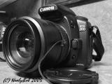 My 20d