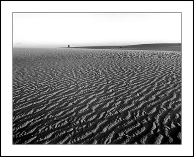 Mungo man in dunes