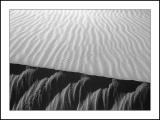 Tracks on the Dune