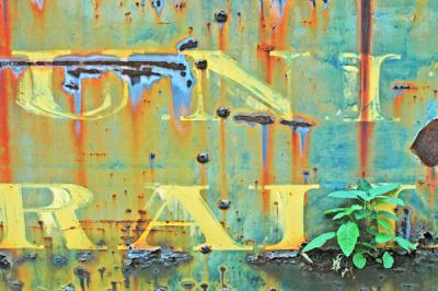 Train I