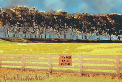 HAY for SALE