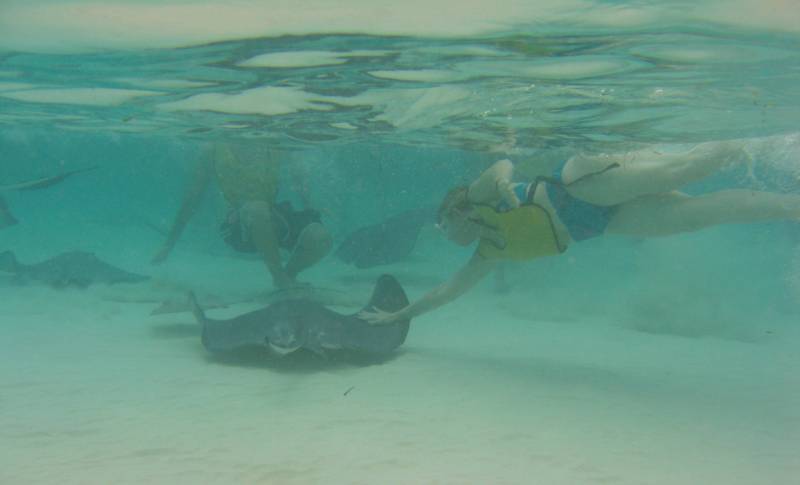 Nina pets a ray underwater