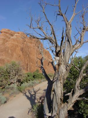 Arches National Park, Moab, Utah