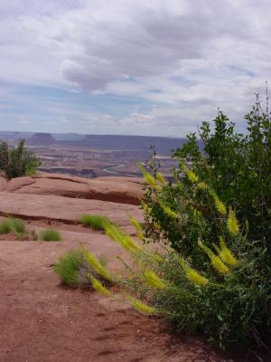 Canyonlands National Park, Utah