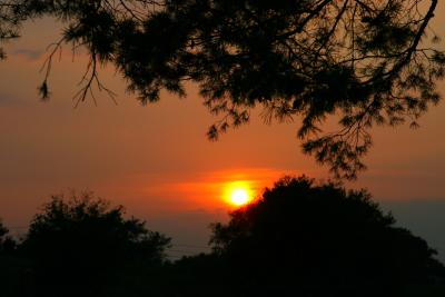 Sunset behind Sahara dust in Florida