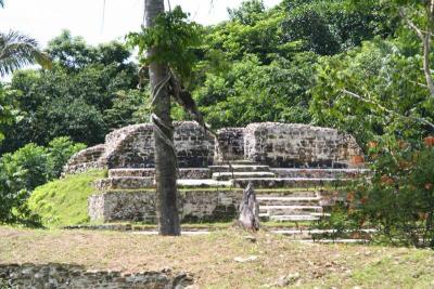 The ruins at Altun Ha