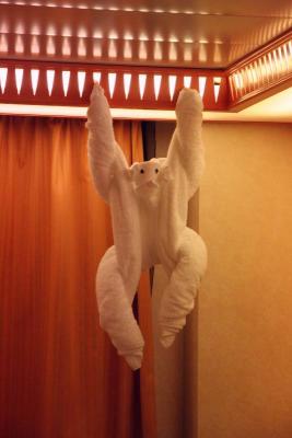 Towel animal of the day