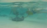 Nina pets a ray underwater