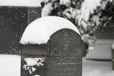Winter Cemetery25.jpg