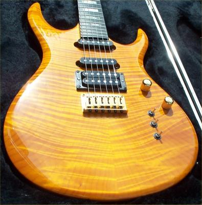 Carvin_Body.jpg
