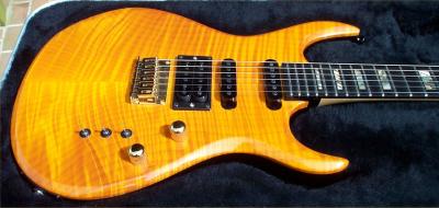 Carvin_Body2.jpg