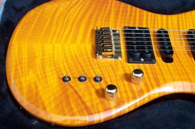 Carvin_Body_Close.jpg