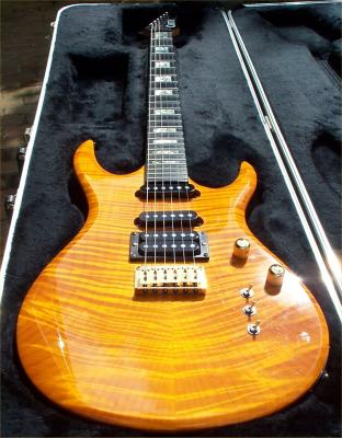 Carvin_In_Case.jpg