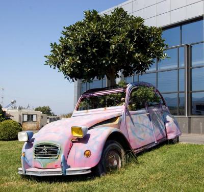 Citroen  2C Tree