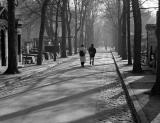 Paris Grave Yard