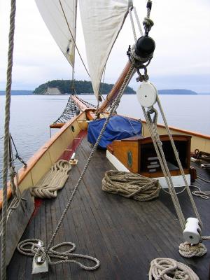IMG_6548C.jpg