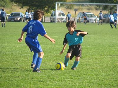 IMG_1133CE.jpg