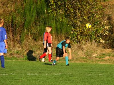 IMG_1156CE.jpg