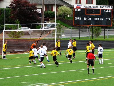 IMG_1598CE.jpg