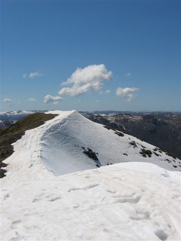 View across Feathertop Peak