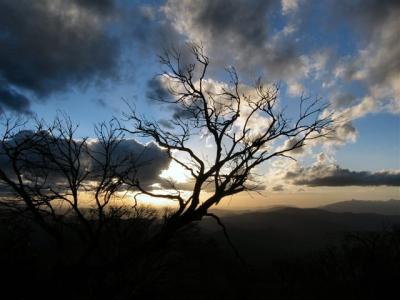 Mount Feathertop 2005