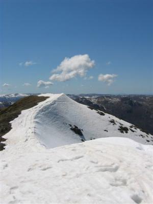 View across Feathertop Peak