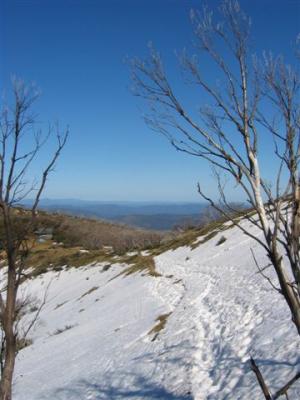 View across the top