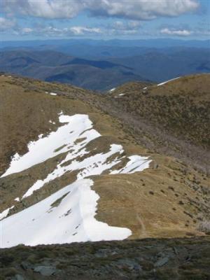 Walk up to Feathertop
