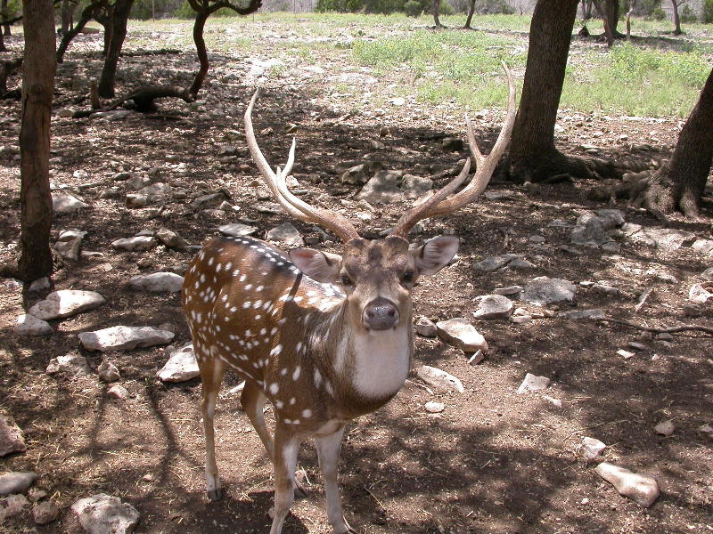 DSCN3037.JPG