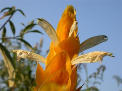 DSCN0339.JPG