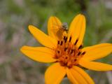 DSCN9760.JPG