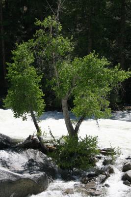 IMG_1728.jpg