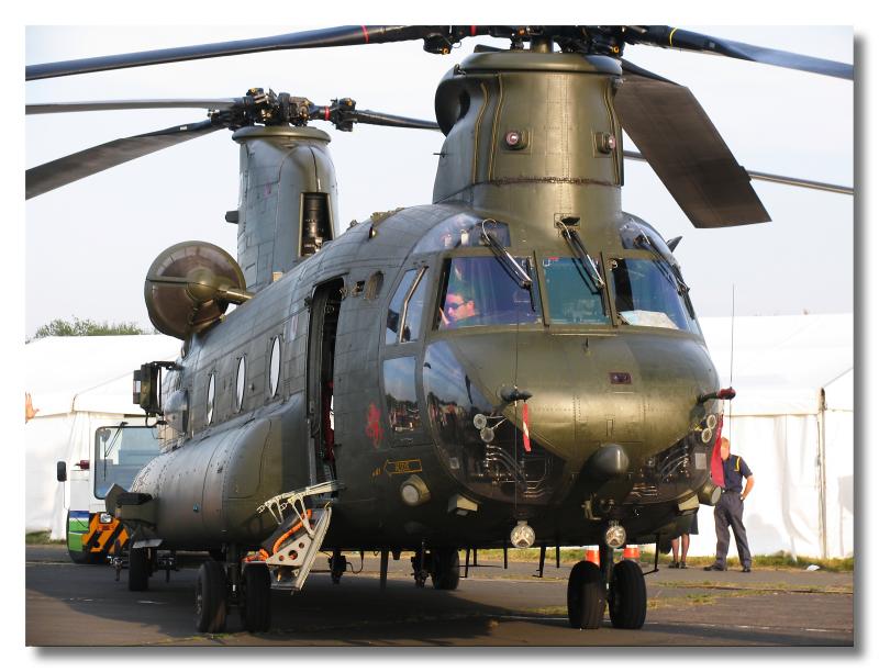 Chinook