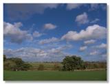 puffy clouds