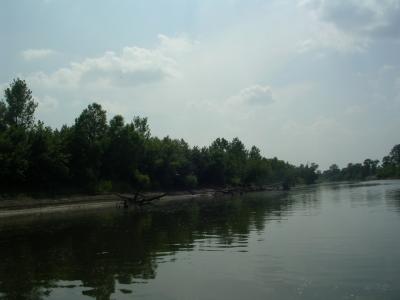 IMGP1745.JPG