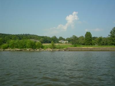 IMGP1803.JPG