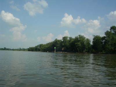 IMGP1808.JPG