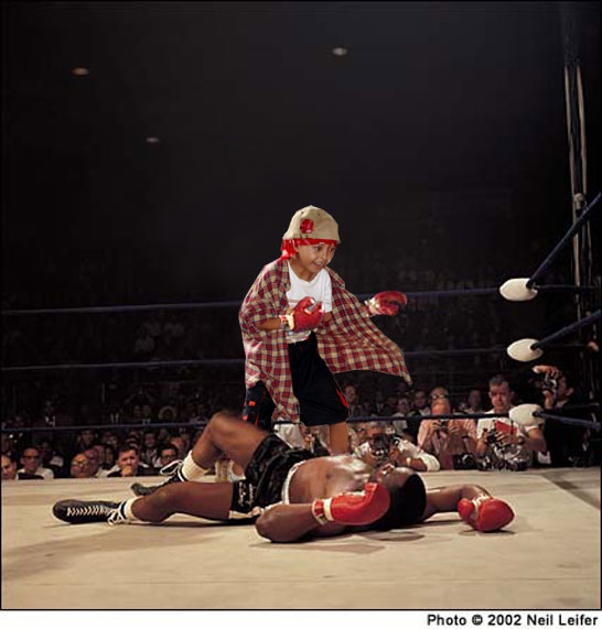 The-Knockout-Kid.jpg