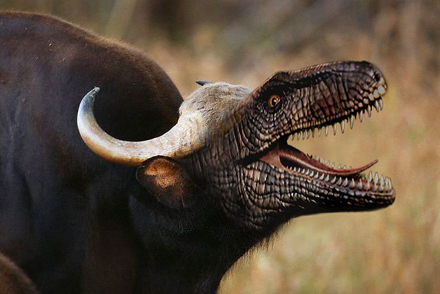 Bull-Dinosaur-combo.jpg