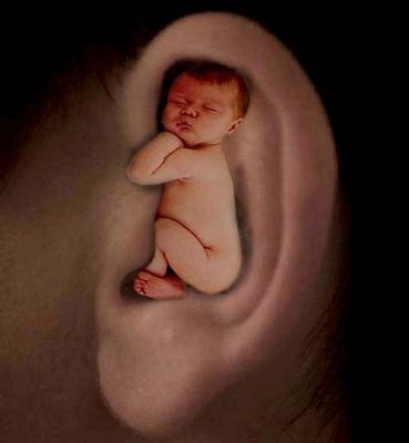 Ear baby.jpg
