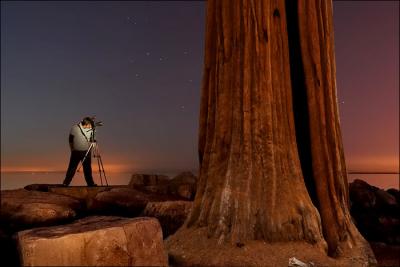 Last Sequoia.jpg