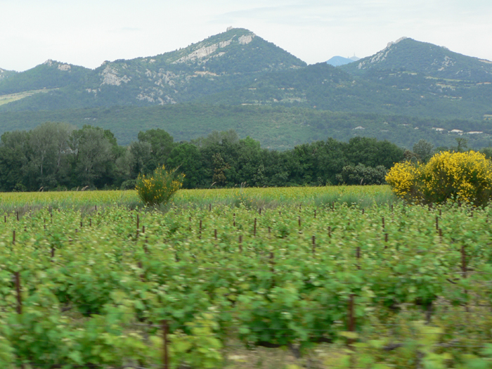 Beautiful Provence!