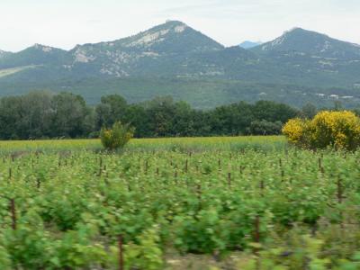 Beautiful Provence!