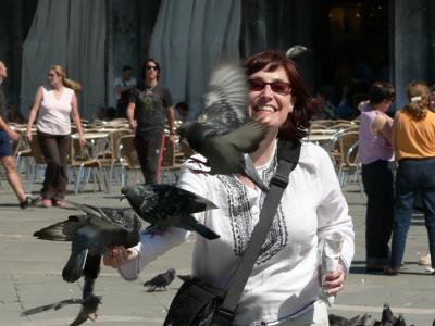 Fun with pigeons!