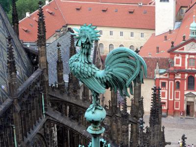 St. Vitus rooster