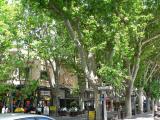 Avignon main street