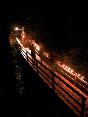 The Bolton Brook Bridge Between House & the Barn